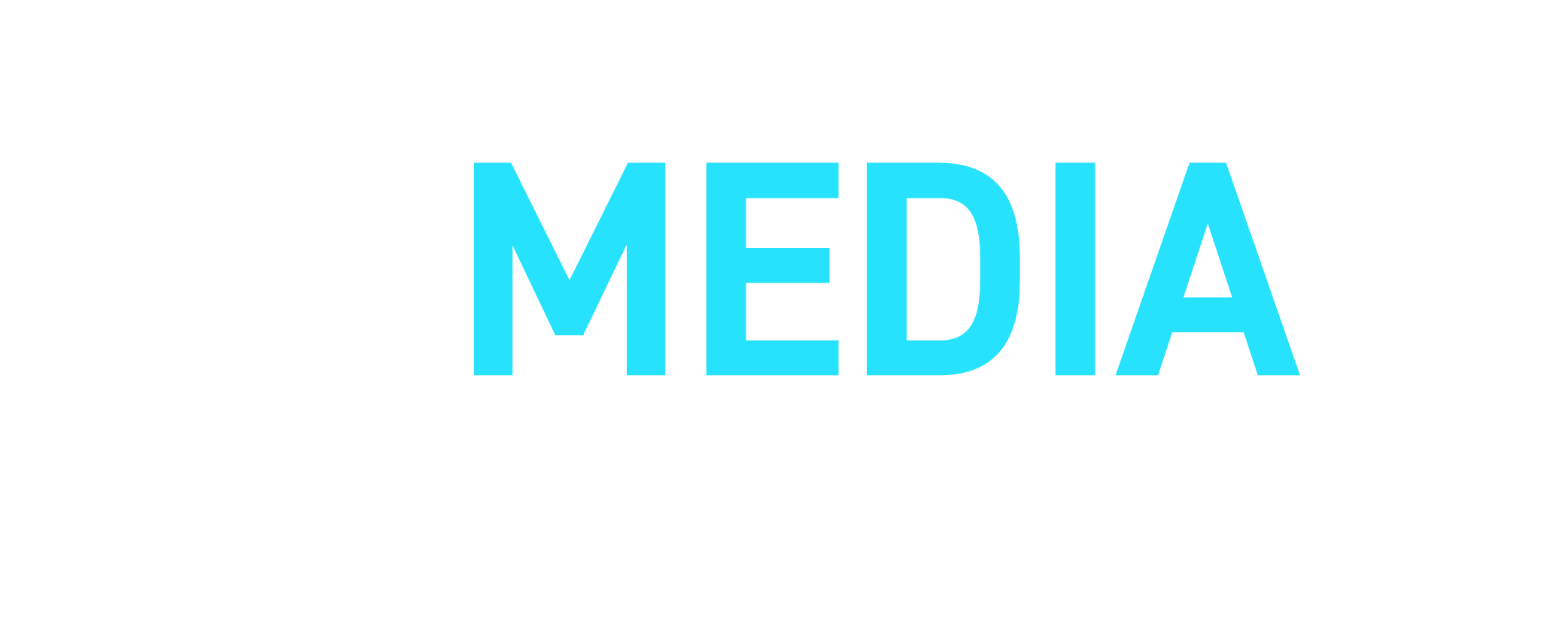 lob_media