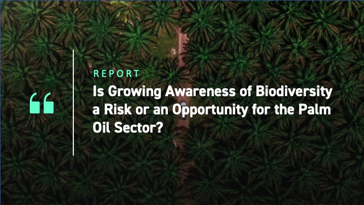 palm-oil-plantation-ft-image