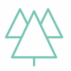 Icon for Environmental and Social Raw Data