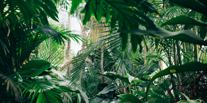 chris-abney-qlw70aoo8be-unsplash