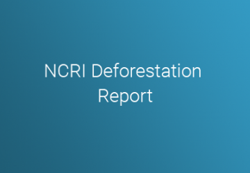 NCRI Deforestation Report
